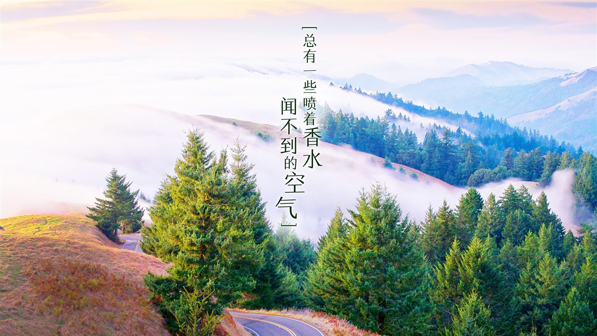 kaiyun体育综合-中后场传球节奏失控是否为比赛崩盘前兆，后场传球没有越位吗