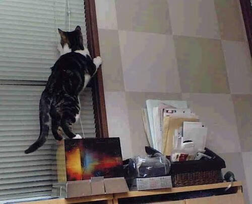 广东老将发挥经验助力球队逆转比赛,广东队名将