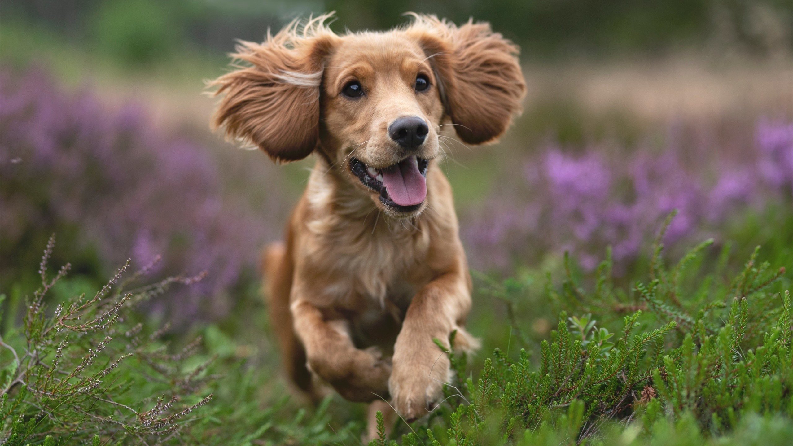 新疆男篮强化体能训练提升比赛耐力，新疆男篮体测