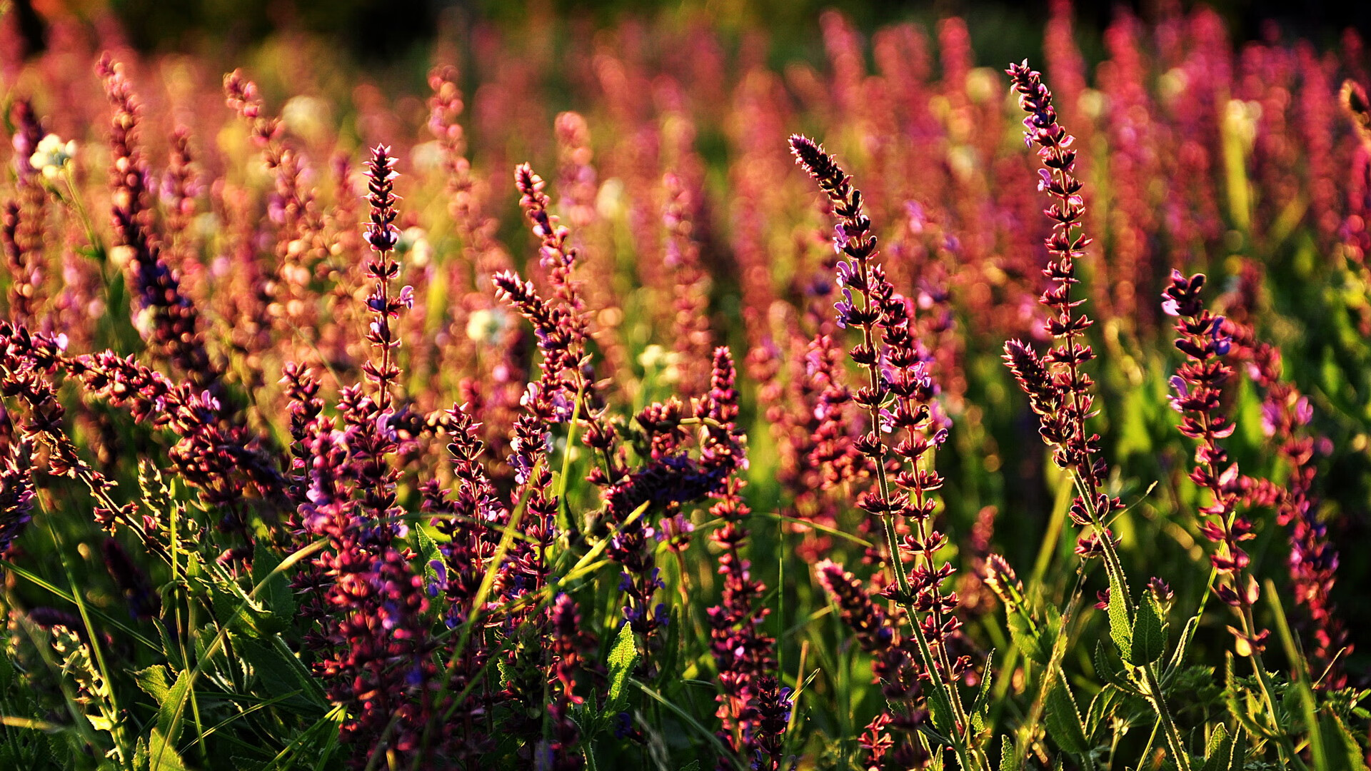 观众互动体验不断优化,与观众互动性强的活动