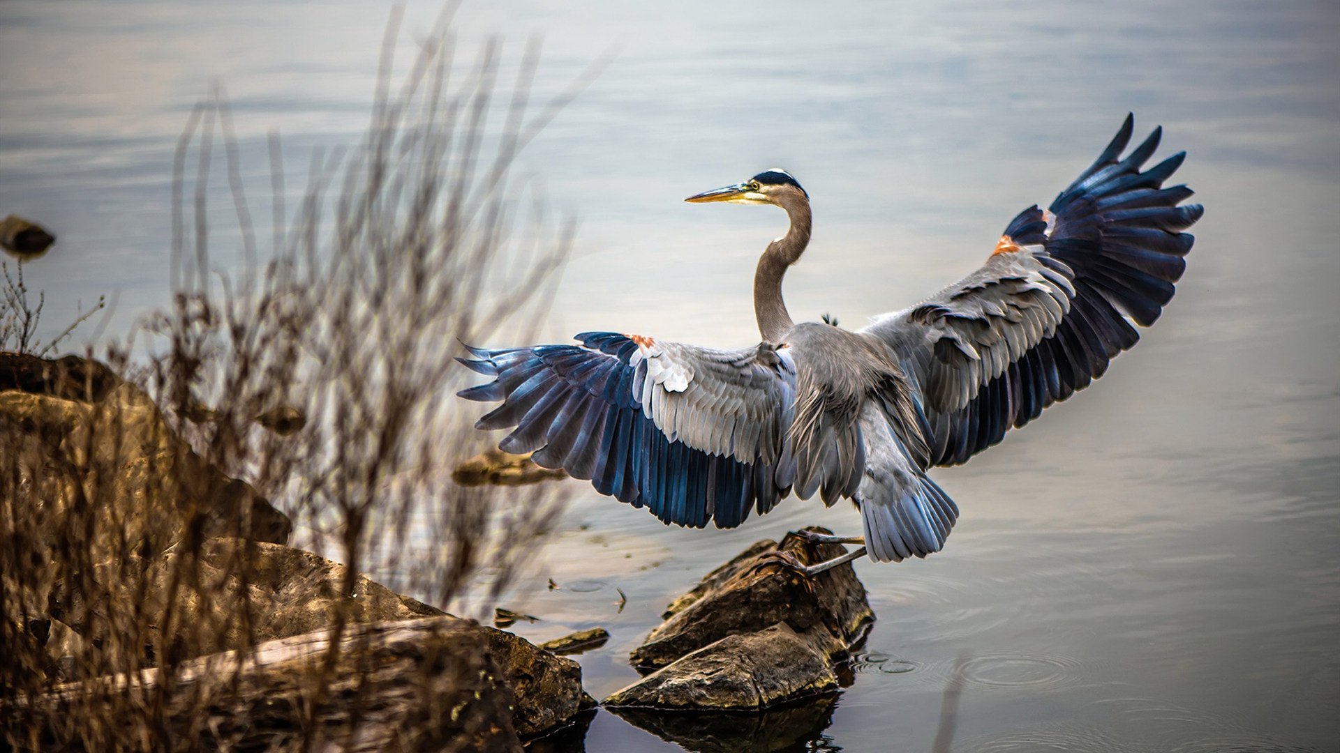 中国足球俱乐部推动球员参与环保公益活动，足球公益项目简介