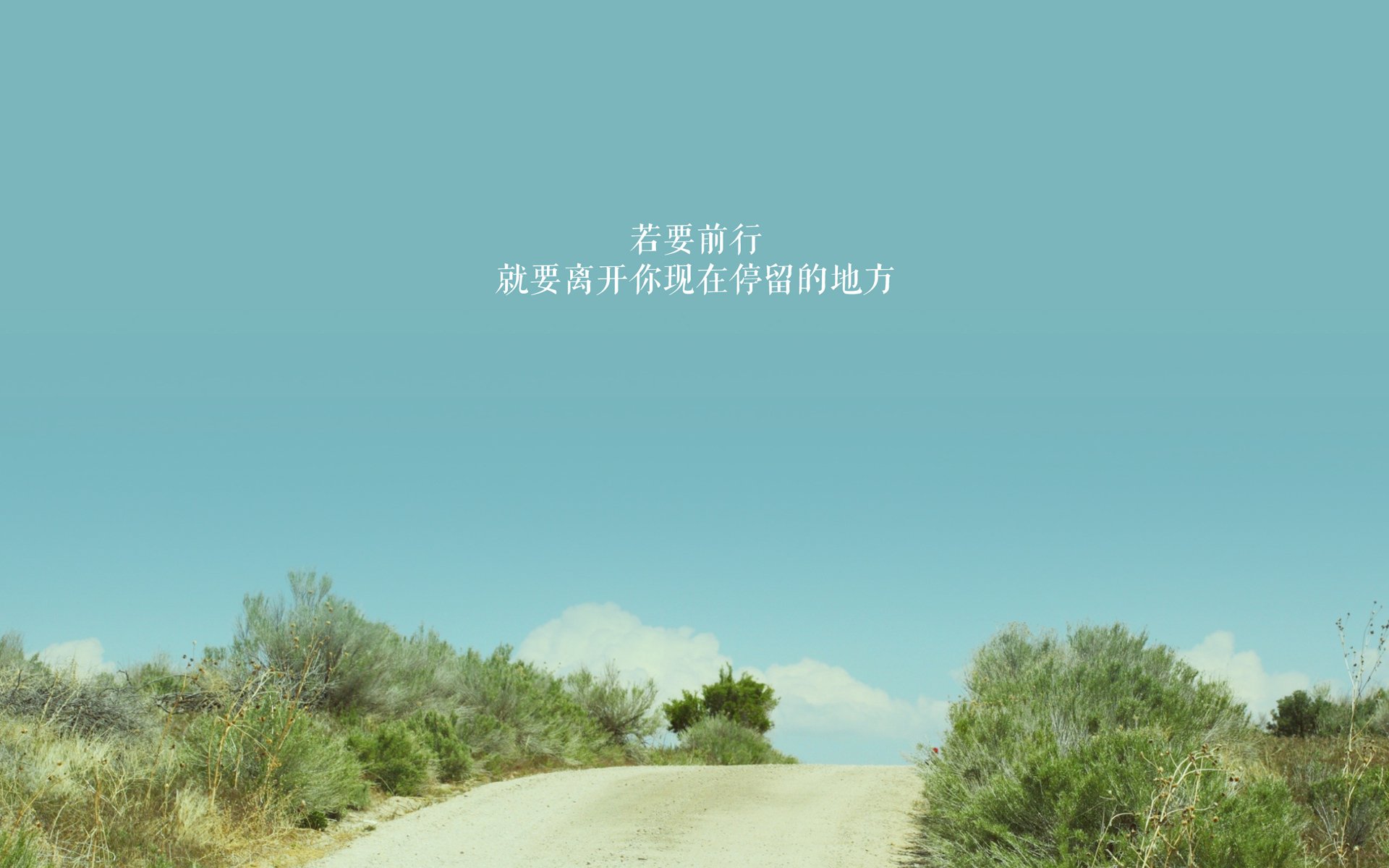 希腊女篮在欧洲锦标赛中再夺金牌,国际舞台光彩夺目,希腊 欧锦赛